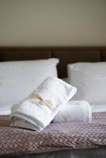 Coloris Aureus room - 8