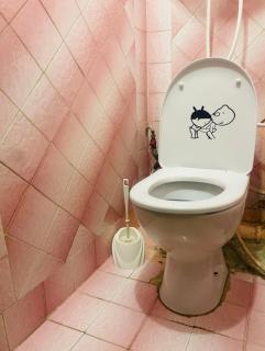 Room No 1 in Guest Apartment, Комната nr 1 в Гостевой Квартире на Чеканах - 3