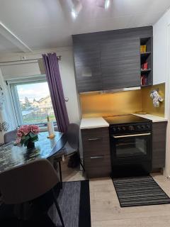 Northern lights Entire Apartment - 1