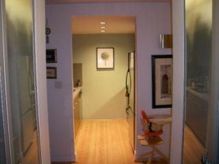 One Bedroom modern apartment in Chestnut Hill, MA - 4