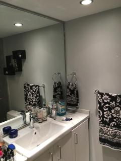 One Bedroom modern apartment in Chestnut Hill, MA - 3