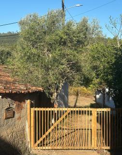 A cozy cottage in Tomar - 1