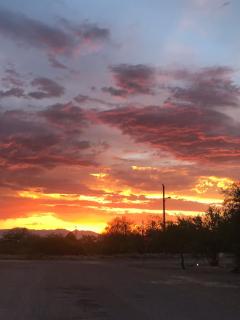 1900s Miner's cabin behind Tombstone Brewery - 7