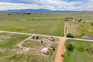 Home on the Plains - Free Range Cattle - 9
