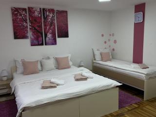 Zlatiborski Andjeo, apartmani Gaga - 5
