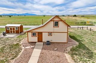 Home on the Plains - Free Range Cattle - 2
