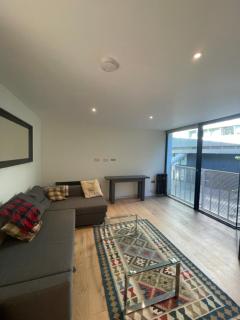 Modern 1BD Flat near River Thames Battersea! - 2