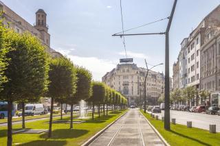 Synagogue Skyline View Walk to Deák & Fashion St - 1