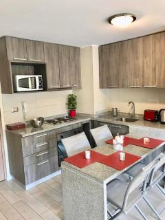 Acogedor Departamento en Santiago Centro - 5