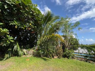 Hawaiian Ohana Home - 9
