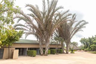 The horizon view lodge - 6