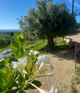 Casale Micale - 9