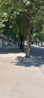 Central lovely top apartament - 8