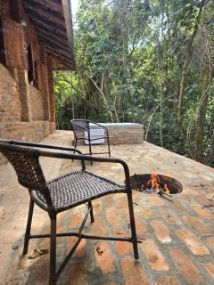 Cabana Rústica da Natureza - 5