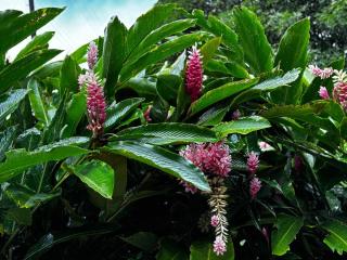 Sonrisas del Arenal, cerca de La Fortuna de SC - 5