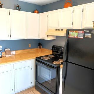 Hillbilly Hilton Dog-Friendly Cabin with Hot Tub & Free Daily Attraction Tickets-Mountain View - 2