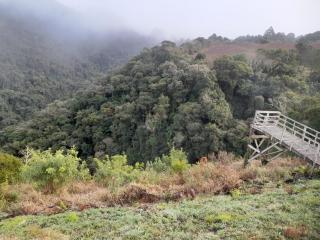 Cabanas recanto do paraiso - 5