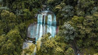 Silvery Bungalows en el Bosque - 9