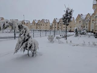Les jardins d'Ifrane 100 - 1