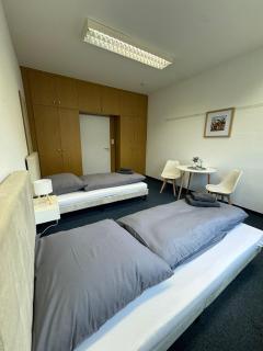 StayFlex Nürnberg - free Parking, close to train and bus - 3