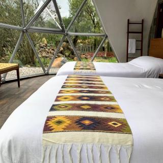 Raíces México - 5