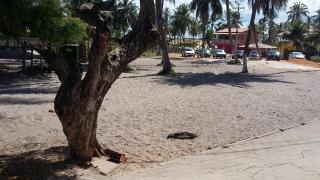 Paraiso da Deise - 4