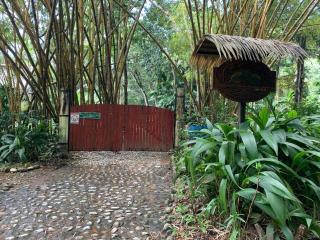 Wildlife Oasis Surf, Rainforest, Animals - 8
