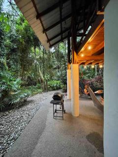 Wildlife Oasis Surf, Rainforest, Animals - 4