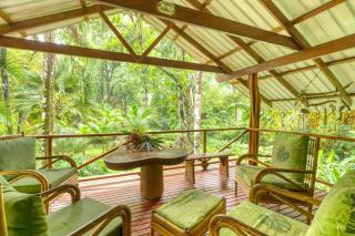 Wildlife Oasis Surf, Rainforest, Animals - 3