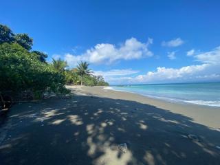 Wildlife Oasis Surf, Rainforest, Animals - 2