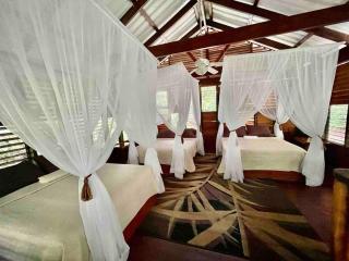 Wildlife Oasis Surf, Rainforest, Animals - 7