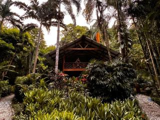 Wildlife Oasis Surf, Rainforest, Animals - 8