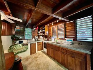 Wildlife Oasis Surf, Rainforest, Animals - 4