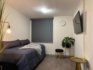 Departamento Full equipado, wifi, AC, Metro Carlos Valdovinos - 3