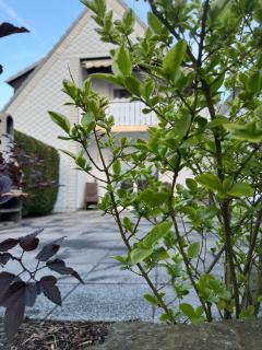 Westerwald Apartments - Das große Ferienhaus, zentral und ruhig, einfach gut! - 7