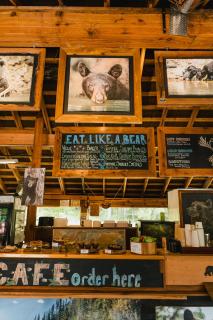 River Safari Bear Den - 4