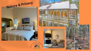 New, Spacious and charming, with a river view, conveniently located near skiing and golf - Bellaire - 0