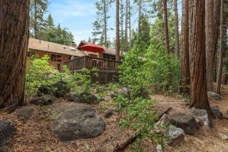 Peaceful Creekside Cabin Walkable to Town - 3