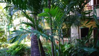 Baan Pitcha บ้านพิชชา - 4