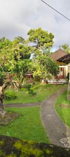 Ondokhouse Taro - 6