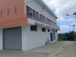 Suva Fiji Apartment - 3