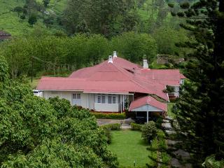 Sereniva Orange Grove Bungalow - 8