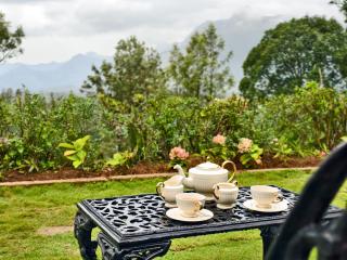 Sereniva Orange Grove Bungalow - 4