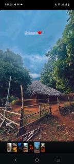 Jungle Farm House - 7