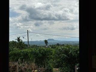 Bảo Anh Homestay - 3