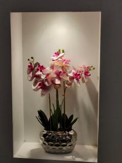 Elegant Family Suite by Stadium, Airport, Shopping - 2