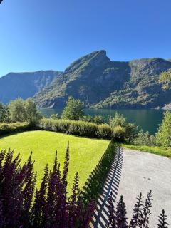Flåm Fjord Panorama House - 8