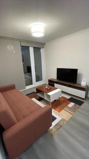 Hermoso departamento nuevo en Concepción 1 - 8