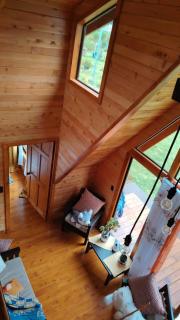 Magic Cabin in Jardín de Dota A real Costa Rican Farm experience with Breakfast included Trout fishing in the lagoon Fruit tasting & beautiful garden with farm animals - 9