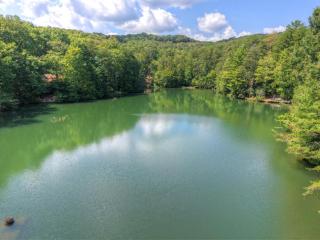 Morningstar on the Lake - 9
